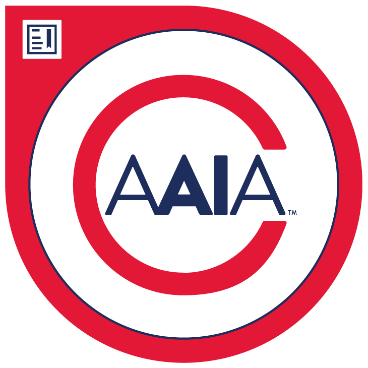 Advanced in AI Audit